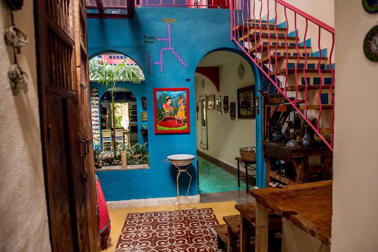 Budha By Majikal B&B Mérida Εξωτερικό φωτογραφία