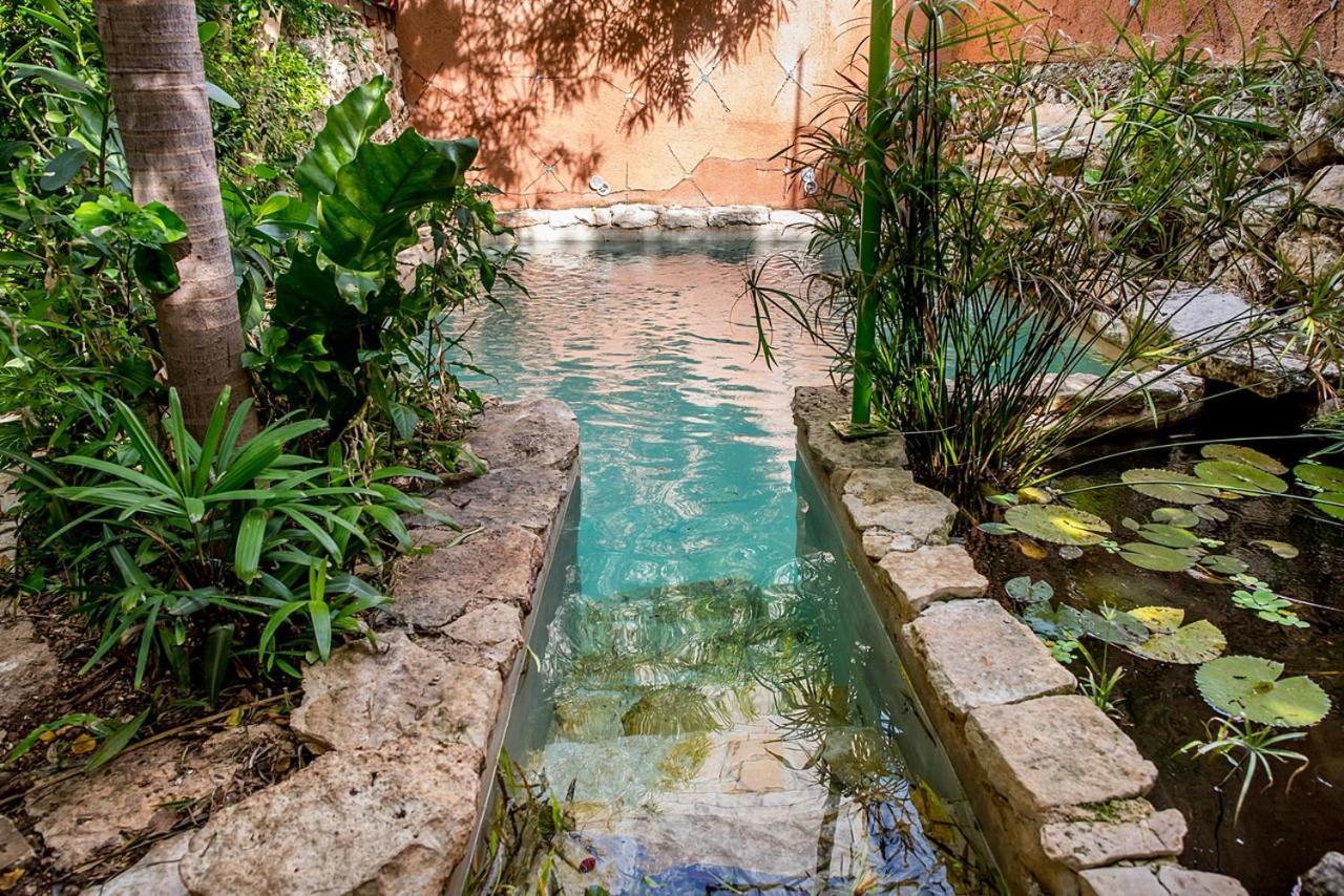 Budha By Majikal B&B Mérida Εξωτερικό φωτογραφία