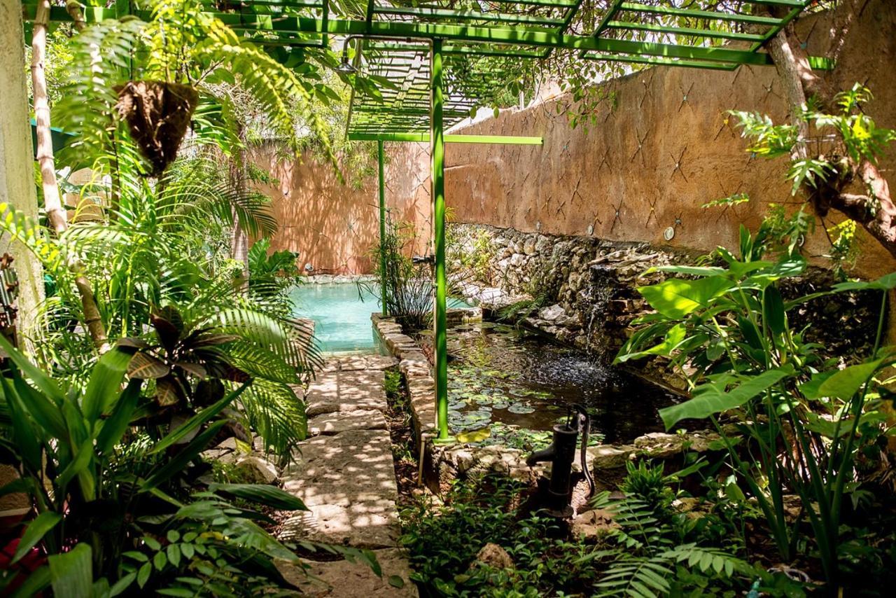 Budha By Majikal B&B Mérida Εξωτερικό φωτογραφία