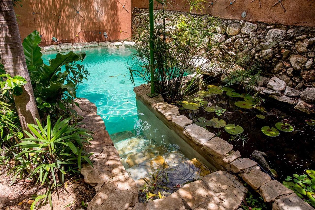 Budha By Majikal B&B Mérida Εξωτερικό φωτογραφία